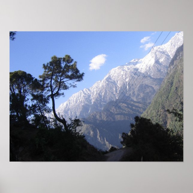 SCENIC BEAUTY POSTER (Framsidan)