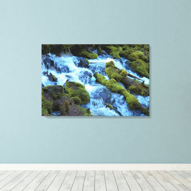 Scenic Forest Waterfall Landscape Canvastryck (Insitu (trägolv))