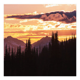 Scenic Sunset Mountains Jungle Pine trees Fall Woo Fototryck