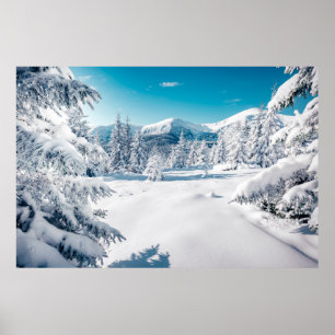 Scenisk bild av källorna träd. Frosty Day, lugn wi Poster