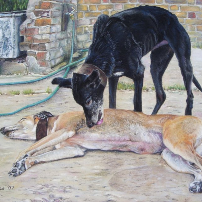 Scenisk bild av sandy och svart greyhound hundar pussel (Skapare uppladdad)