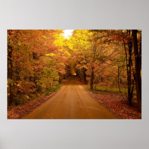 Scenisk enhet Poster