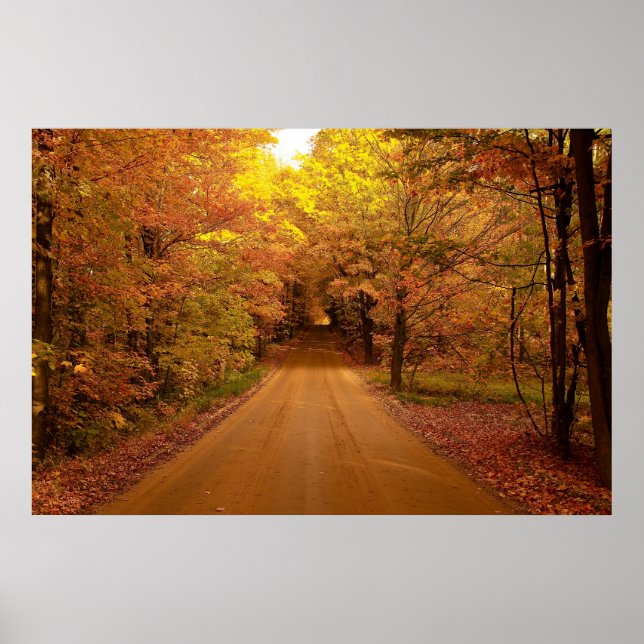 Scenisk enhet Poster (Framsidan)