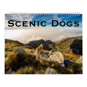 Scenisk hundnatur kalender