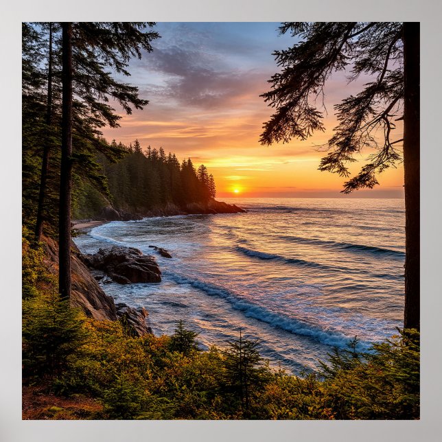 Scenisk kustsolnedgång med Träd-orienterade kuster Poster (Framsidan)