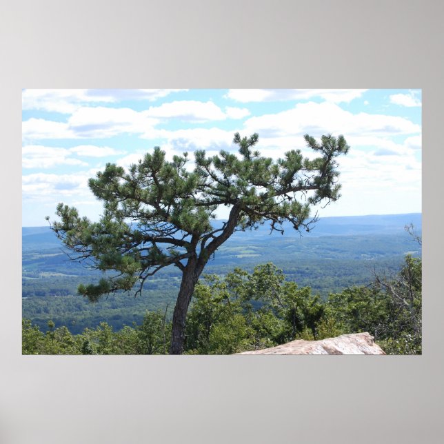 Scenisk Poster (Framsidan)