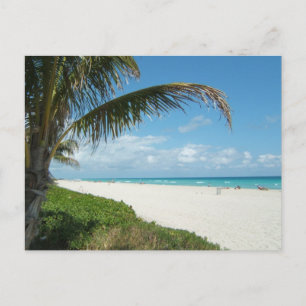 Scenisk strand, Side Handflatan Gren Vykort