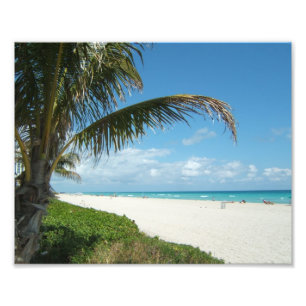 Scenisk strand, vit sand w/Aqua Vatten Fototryck