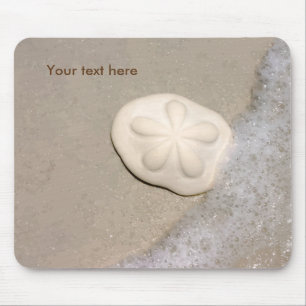Scenisk strandSanddollar Musmatta