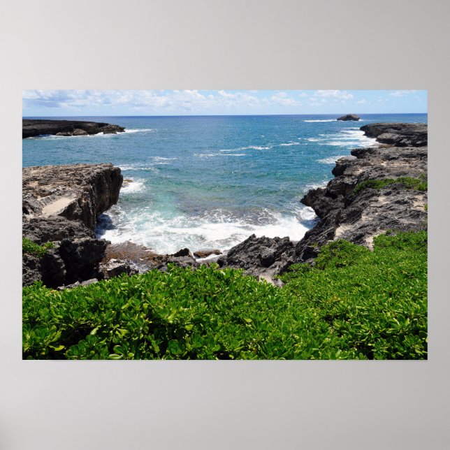 Scenisk vy över Hawaiian Kusten Poster (Framsidan)