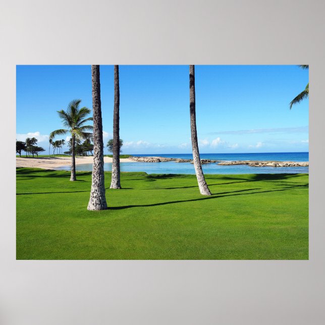 Scenisk vy över Poster hawaiiska lagunen (Framsidan)