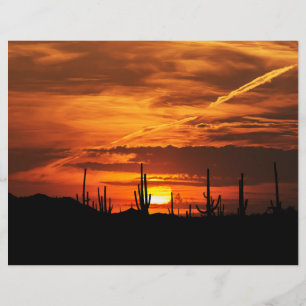 Sceniskt sojaros vid Sunset Scrapbook Papper