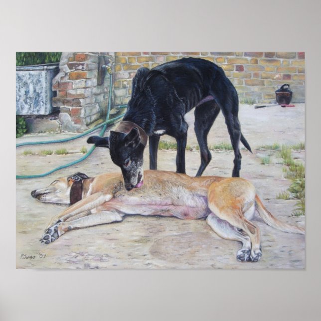 scenkonst bild på grayhound hundar på en gård poster (Framsidan)