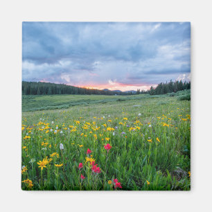 Scenlandskap med färgade vilda blommor magnet