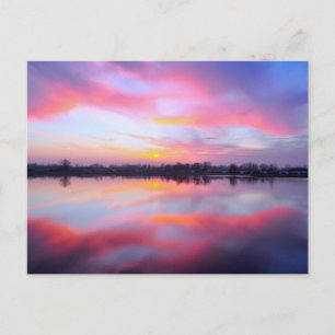 Scenskt Rosa liggande Vykort