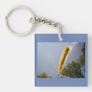 Scensommar