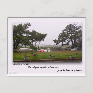 Scent av regn vykort