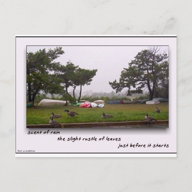 Scent av regn vykort (Framsida)
