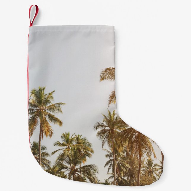 Scenvy för handflatan-persikor liten julstrumpa (Framsidan)