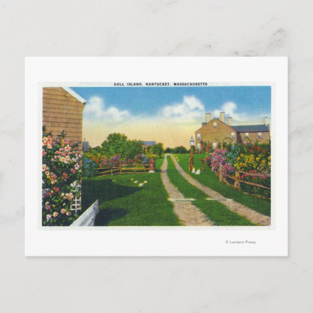 Scenvy över Gull Island Vykort (Framsida)