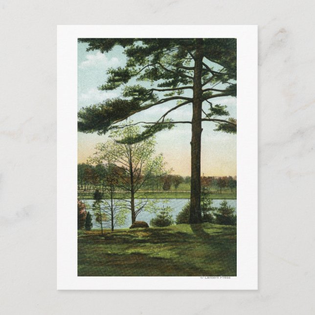 Scenvy vid Chestnut Backe Reservoir Vykort (Framsida)