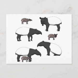 Schabrackentapir Auswahl Vykort