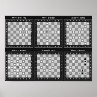 Schackdragstabell Poster