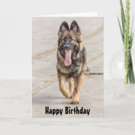 Schäfer för hund för herde för födelsedagkort tysk kort