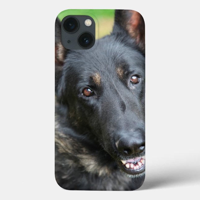 Schäferhund (Baksida)