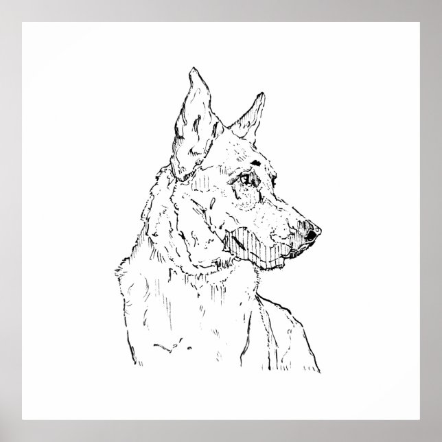 Schäferhund Alsatian Hund Konst Poster (Framsidan)