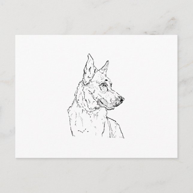 Schäferhund Alsatian Hund Konst Vykort (Framsida)