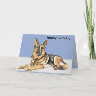 Schäferhund, Alsatian Kort