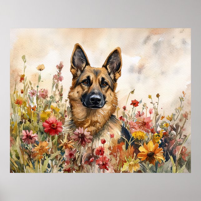 Schäferhund bland livfulla vilda blommor poster (Framsidan)
