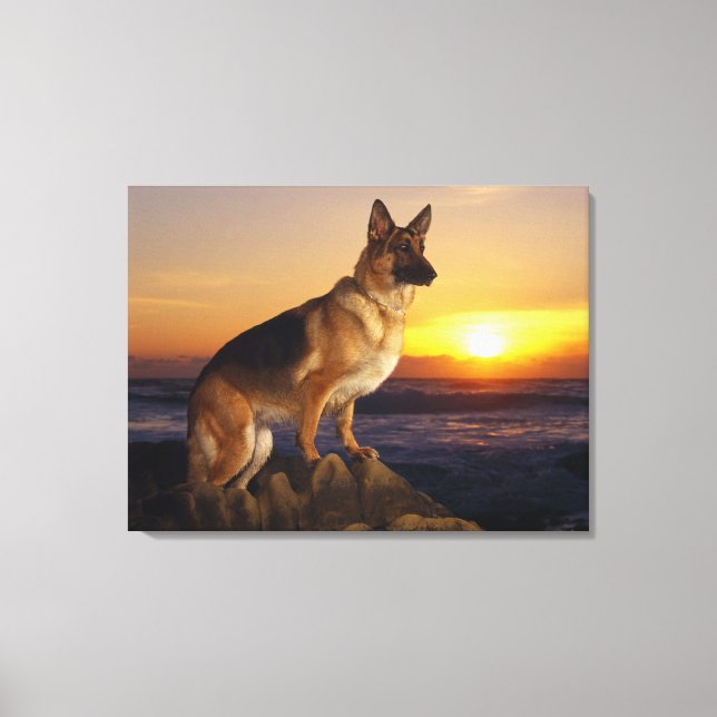 Schäferhund Canvastryck (Framsida)