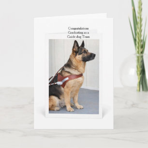 Schäferhund examen som ledarhundsteam kort