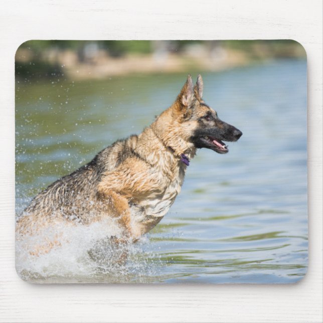 Schäferhund hoppar i vattnet musmatta (Framsidan)