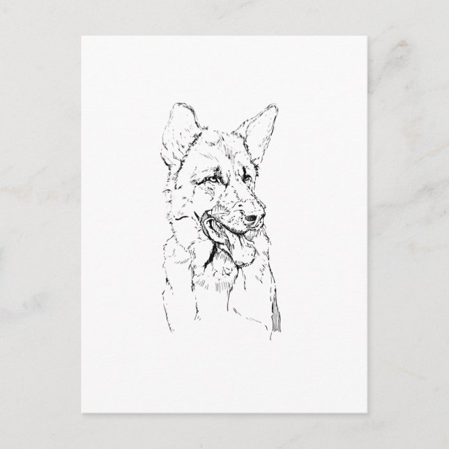 Schäferhund, Hund Illustration Personlig Vykort (Framsida)