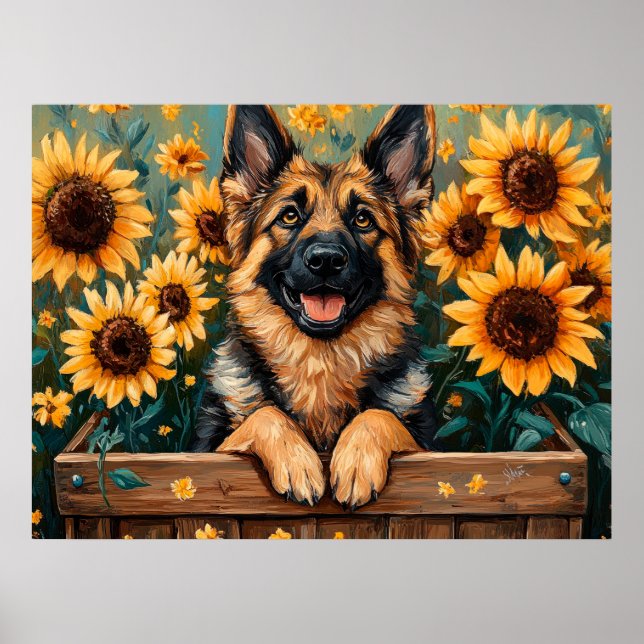 Schäferhund i en tunna poster (Framsidan)