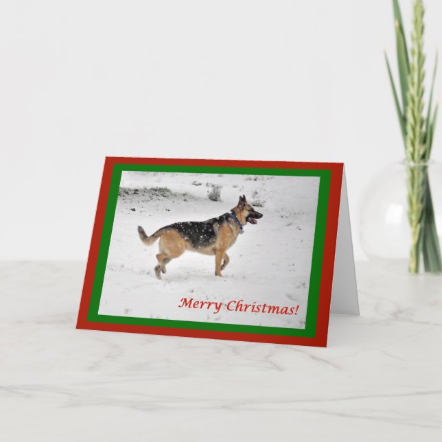 Schäferhund i snö julkort kort (Framsida)