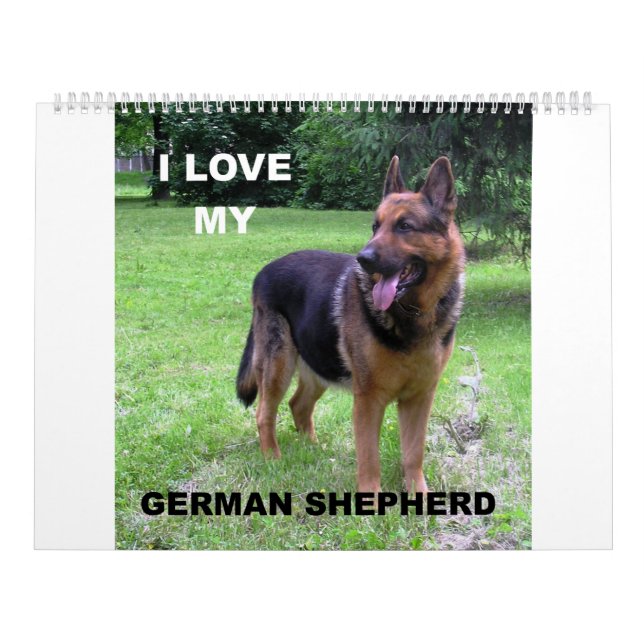 Schäferhund Kalender (Omslag)