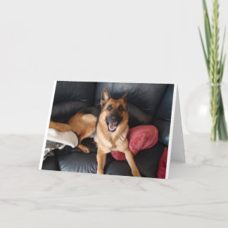 Schäferhund Kort