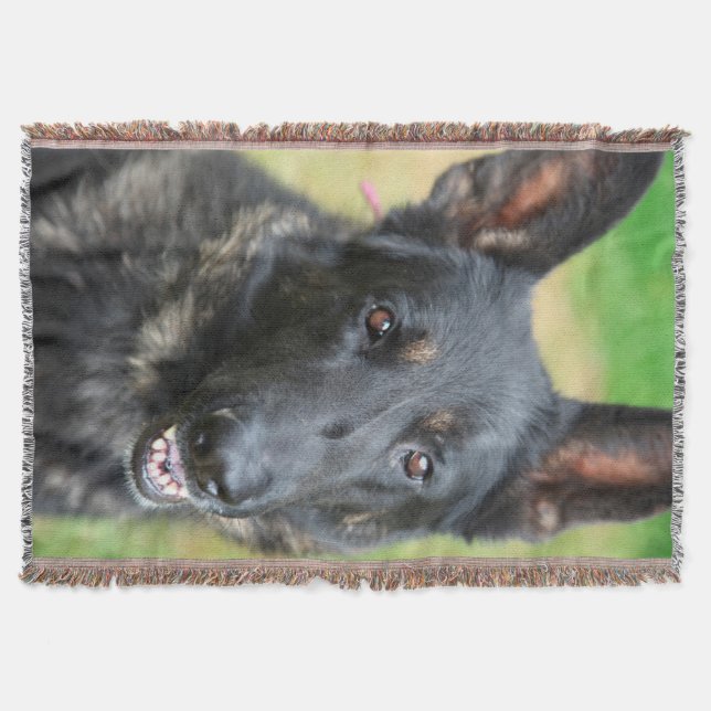 Schäferhund Mysfilt (Framsidan)