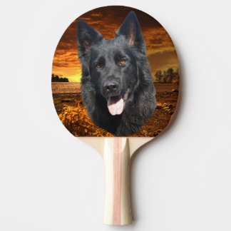 Schäferhund Pingisracket
