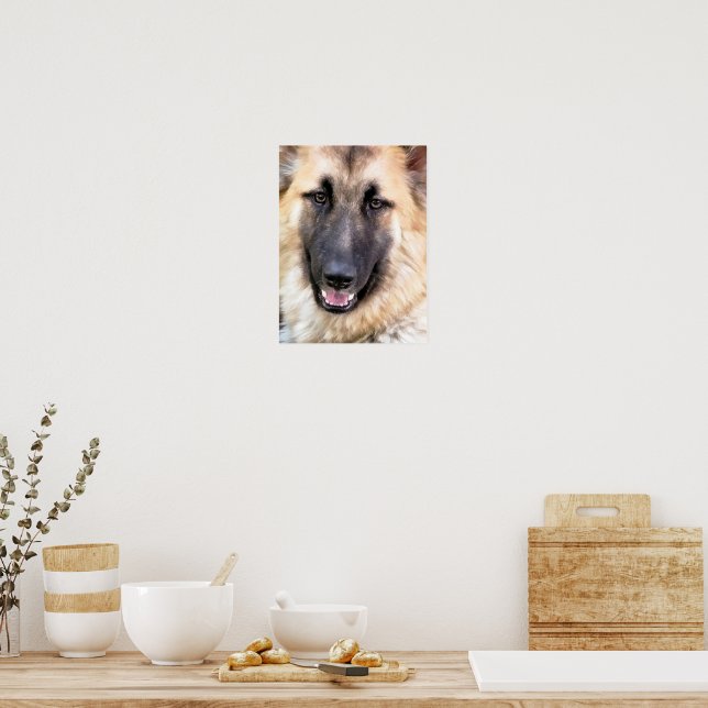 SCHÄFERHUND POSTER (Kök)