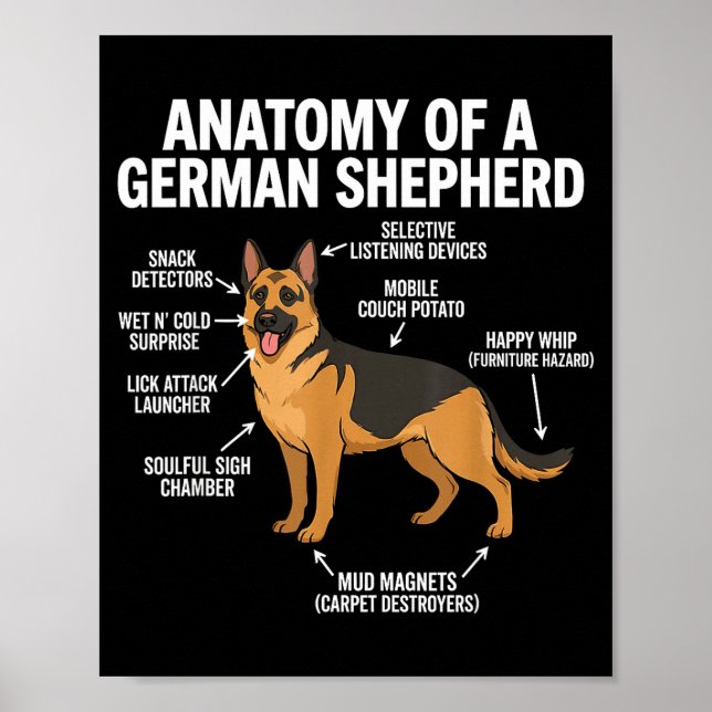 Schäferhund Poster (Framsidan)