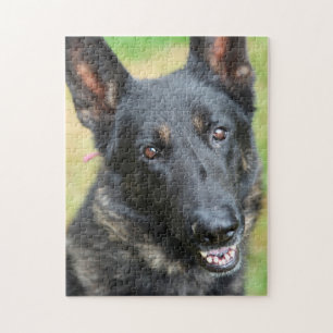 Schäferhund Pussel
