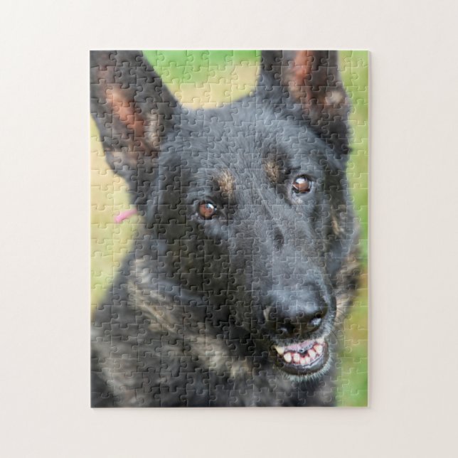 Schäferhund Pussel (Vertikal)