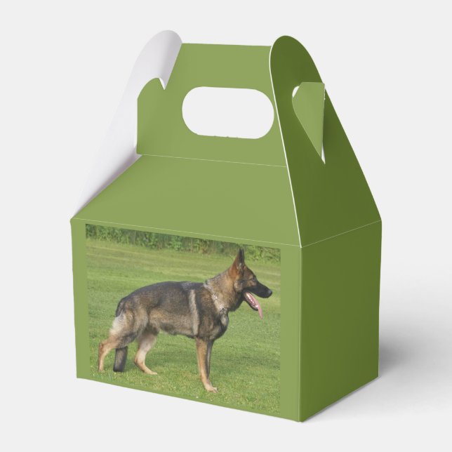 Schäferhund Sable Full Presentaskar (Framsidan Sidan)