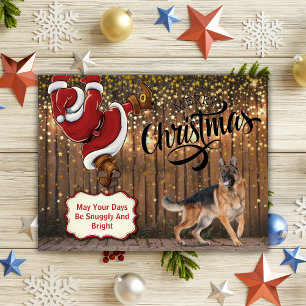 Schäferhund Santa Jul Postkort Helg Vykort