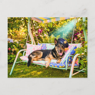 Schäferhund som chillar på verandasvingen vykort